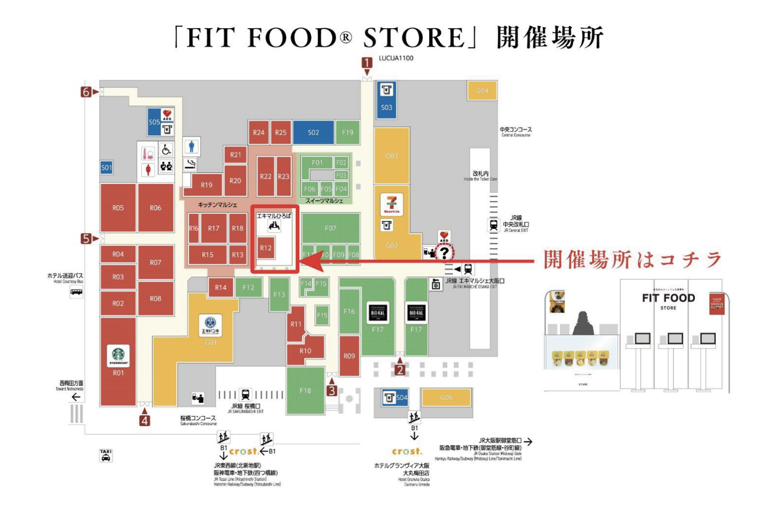 エキマルシェ大阪に期間限定で「FIT FOOD® STORE」を出店いたします
